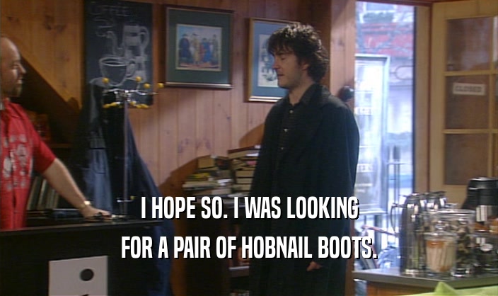 I HOPE SO. I WAS LOOKING FOR A PAIR OF HOBNAIL BOOTS. 