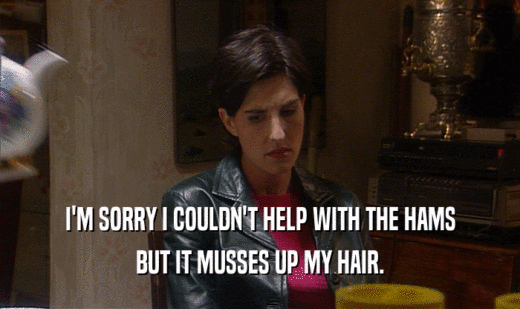 I'M SORRY I COULDN'T HELP WITH THE HAMS BUT IT MUSSES UP MY HAIR. 