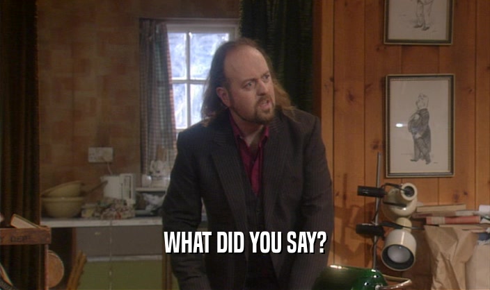 WHAT DID YOU SAY?  