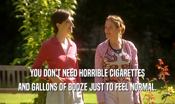YOU DON'T NEED HORRIBLE CIGARETTES AND GALLONS OF BOOZE JUST TO FEEL NORMAL. 