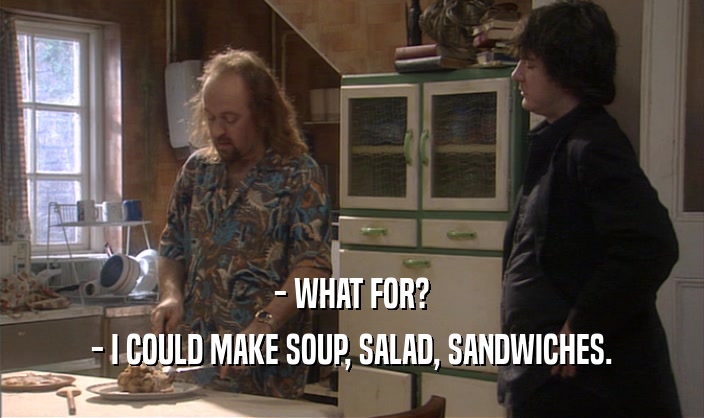 - WHAT FOR? - I COULD MAKE SOUP, SALAD, SANDWICHES. 