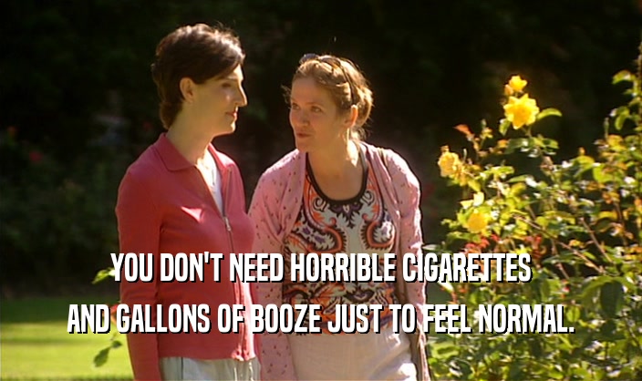 YOU DON'T NEED HORRIBLE CIGARETTES AND GALLONS OF BOOZE JUST TO FEEL NORMAL. 