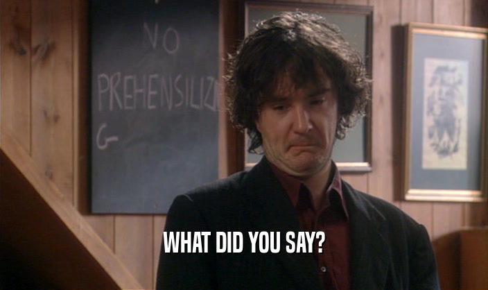 WHAT DID YOU SAY?  