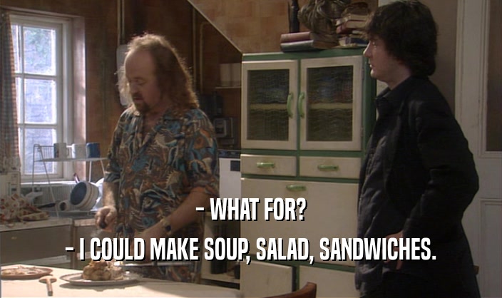 - WHAT FOR? - I COULD MAKE SOUP, SALAD, SANDWICHES. 