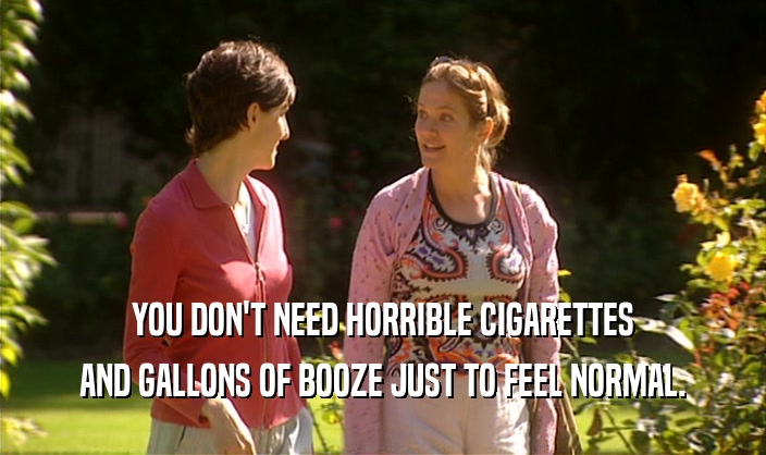YOU DON'T NEED HORRIBLE CIGARETTES AND GALLONS OF BOOZE JUST TO FEEL NORMAL. 