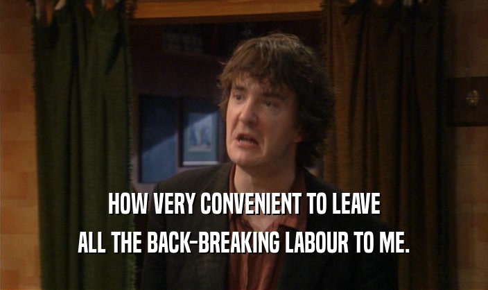 HOW VERY CONVENIENT TO LEAVE ALL THE BACK-BREAKING LABOUR TO ME. 