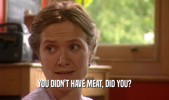 YOU DIDN'T HAVE MEAT, DID YOU?
  