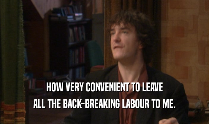 HOW VERY CONVENIENT TO LEAVE ALL THE BACK-BREAKING LABOUR TO ME. 