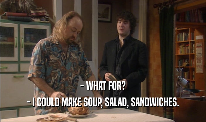 - WHAT FOR? - I COULD MAKE SOUP, SALAD, SANDWICHES. 