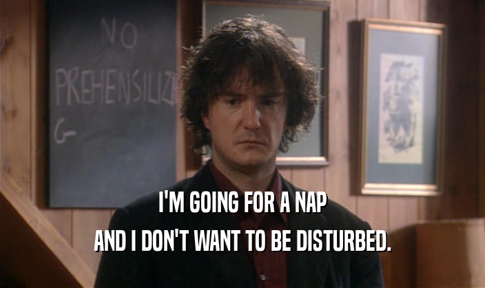 I'M GOING FOR A NAP AND I DON'T WANT TO BE DISTURBED. 