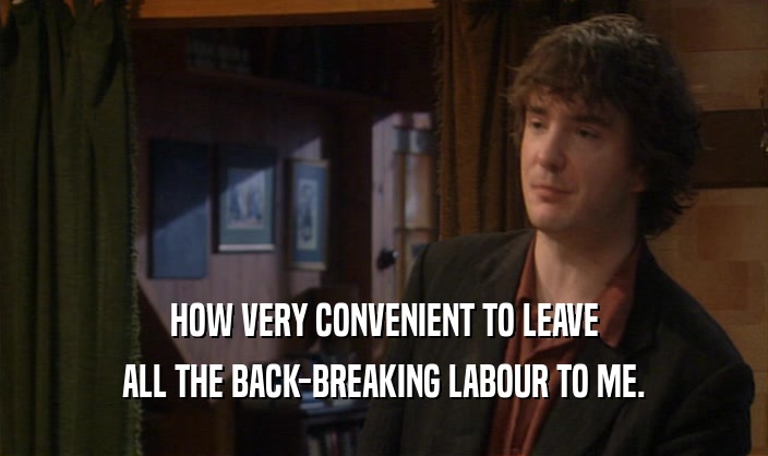 HOW VERY CONVENIENT TO LEAVE
 ALL THE BACK-BREAKING LABOUR TO ME.
 
