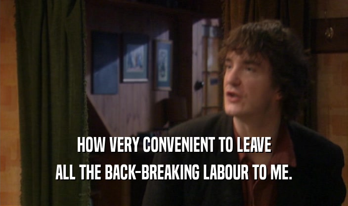 HOW VERY CONVENIENT TO LEAVE
 ALL THE BACK-BREAKING LABOUR TO ME.
 