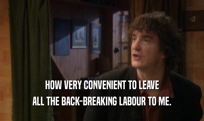 HOW VERY CONVENIENT TO LEAVE ALL THE BACK-BREAKING LABOUR TO ME. 