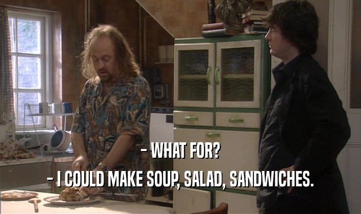 - WHAT FOR? - I COULD MAKE SOUP, SALAD, SANDWICHES. 