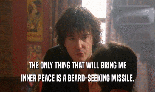 THE ONLY THING THAT WILL BRING ME
 INNER PEACE IS A BEARD-SEEKING MISSILE.
 