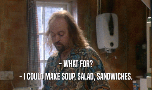 - WHAT FOR? - I COULD MAKE SOUP, SALAD, SANDWICHES. 