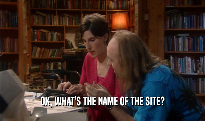 OK, WHAT'S THE NAME OF THE SITE?
  
