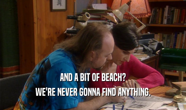 AND A BIT OF BEACH?
 WE'RE NEVER GONNA FIND ANYTHING.
 