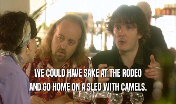 WE COULD HAVE SAKE AT THE RODEO AND GO HOME ON A SLED WITH CAMELS. 