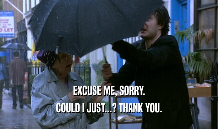 EXCUSE ME, SORRY. COULD I JUST...? THANK YOU. 