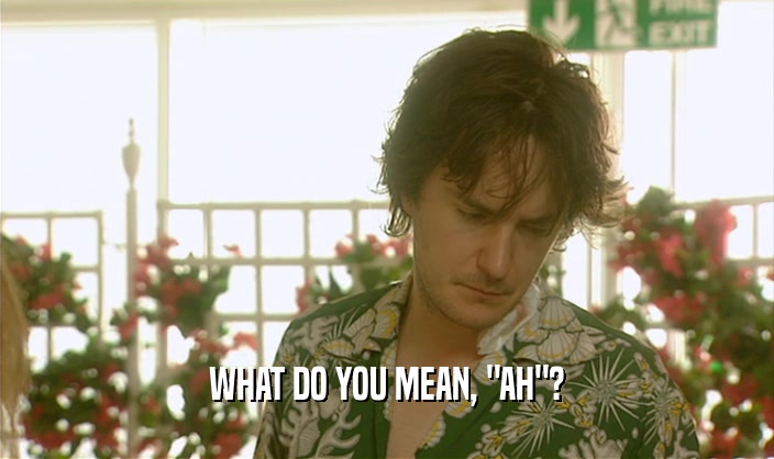 WHAT DO YOU MEAN, 