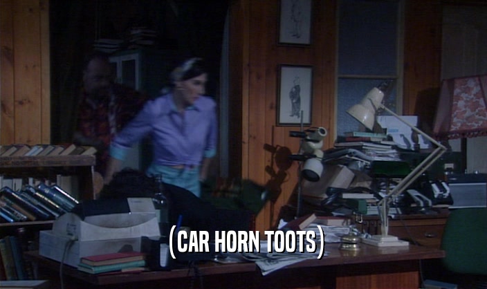 (CAR HORN TOOTS)  