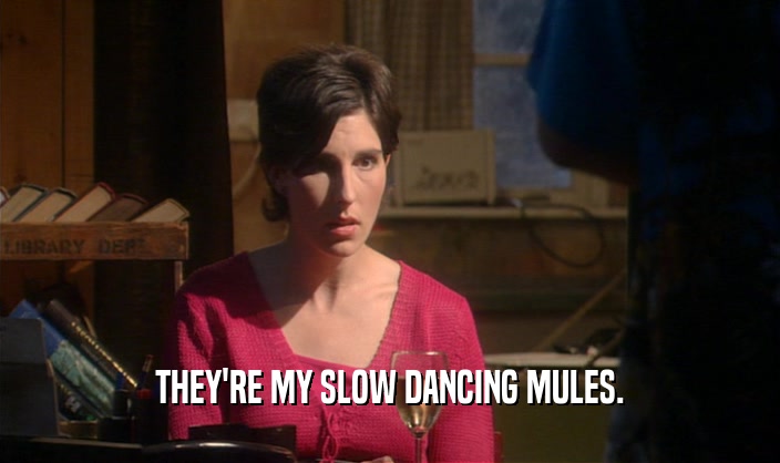 THEY'RE MY SLOW DANCING MULES.
  