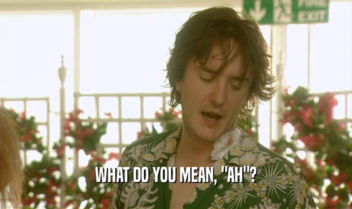 WHAT DO YOU MEAN, 