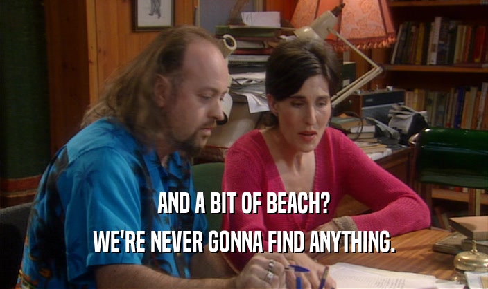 AND A BIT OF BEACH? WE'RE NEVER GONNA FIND ANYTHING. 