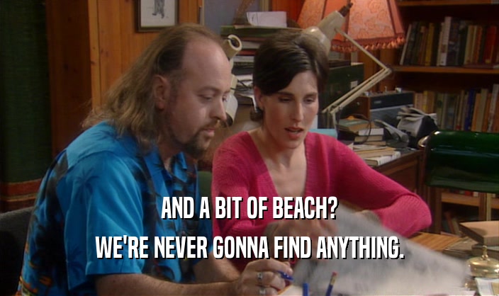 AND A BIT OF BEACH? WE'RE NEVER GONNA FIND ANYTHING. 