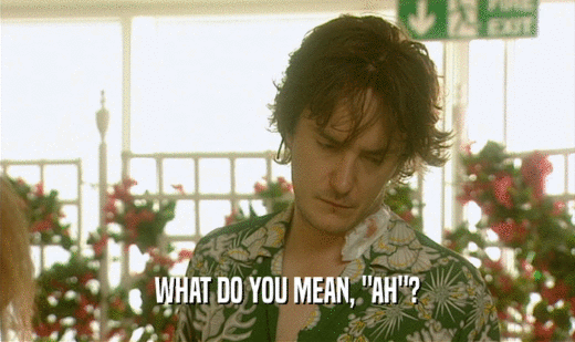 WHAT DO YOU MEAN, 