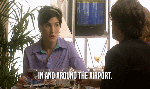 IN AND AROUND THE AIRPORT.  