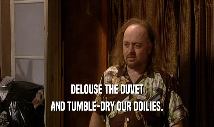 DELOUSE THE DUVET
 AND TUMBLE-DRY OUR DOILIES.
 