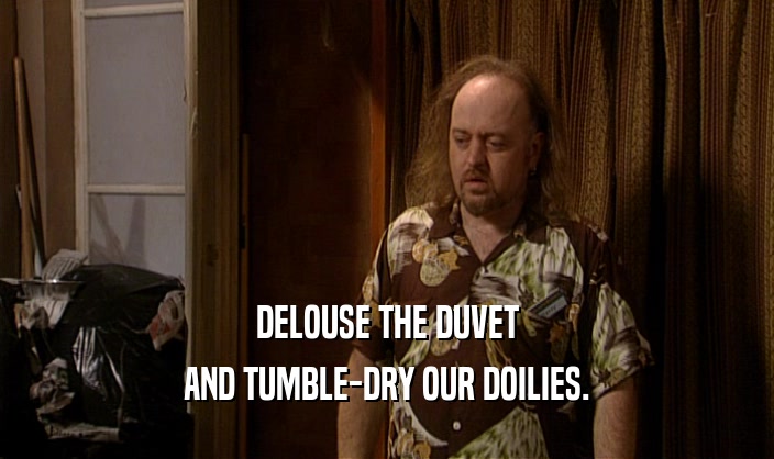 DELOUSE THE DUVET
 AND TUMBLE-DRY OUR DOILIES.
 