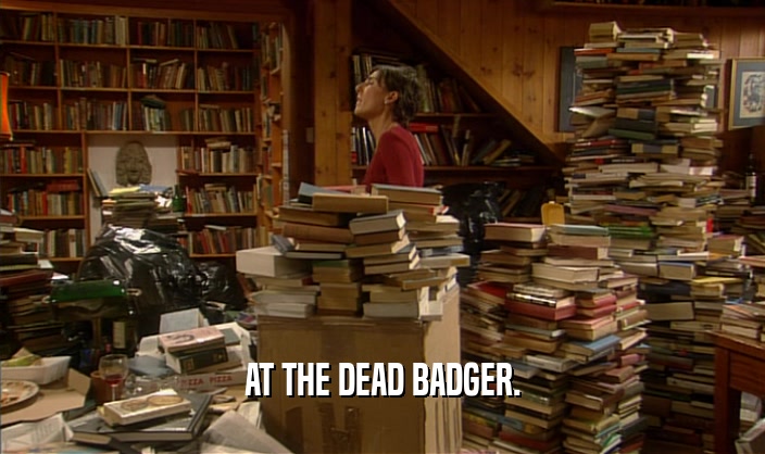 AT THE DEAD BADGER.  