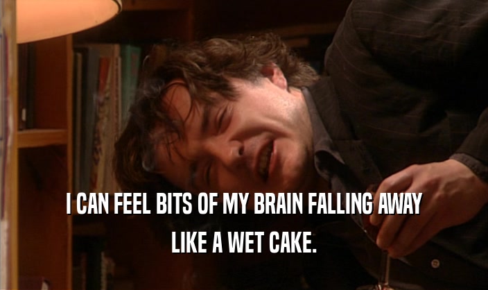 I CAN FEEL BITS OF MY BRAIN FALLING AWAY
 LIKE A WET CAKE.
 