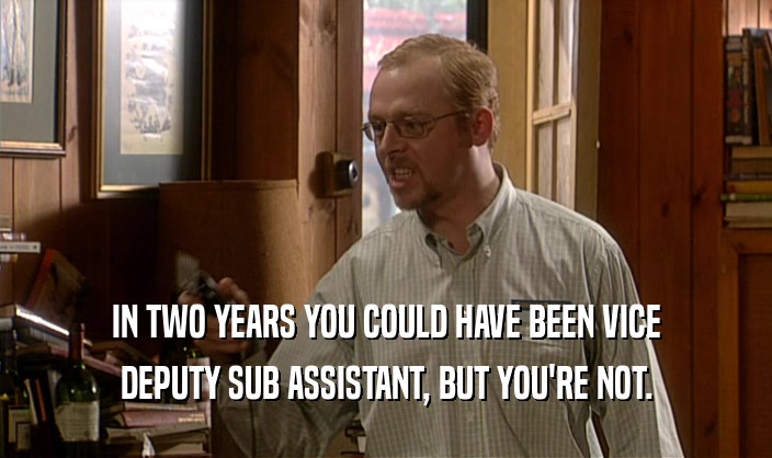 IN TWO YEARS YOU COULD HAVE BEEN VICE
 DEPUTY SUB ASSISTANT, BUT YOU'RE NOT.
 