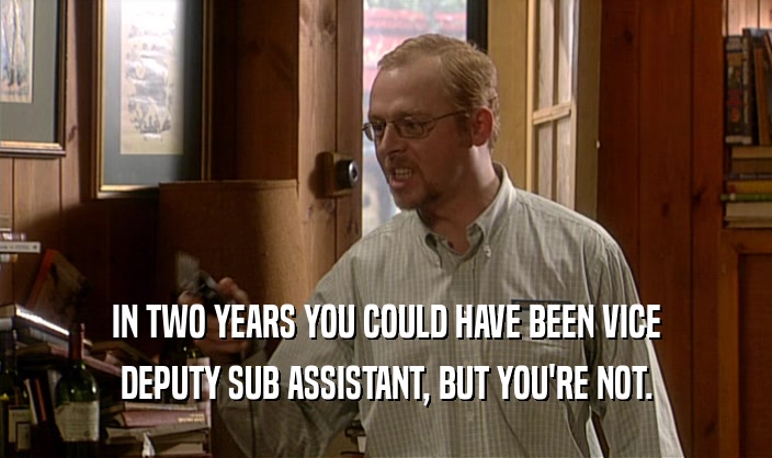 IN TWO YEARS YOU COULD HAVE BEEN VICE DEPUTY SUB ASSISTANT, BUT YOU'RE NOT. 