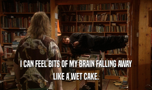 I CAN FEEL BITS OF MY BRAIN FALLING AWAY
 LIKE A WET CAKE.
 