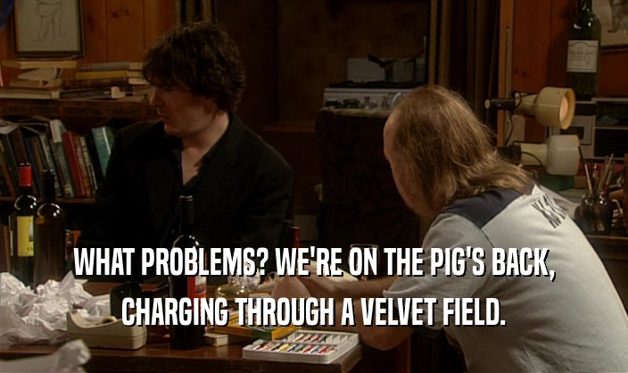 WHAT PROBLEMS? WE'RE ON THE PIG'S BACK, CHARGING THROUGH A VELVET FIELD. 