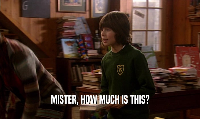 MISTER, HOW MUCH IS THIS?  