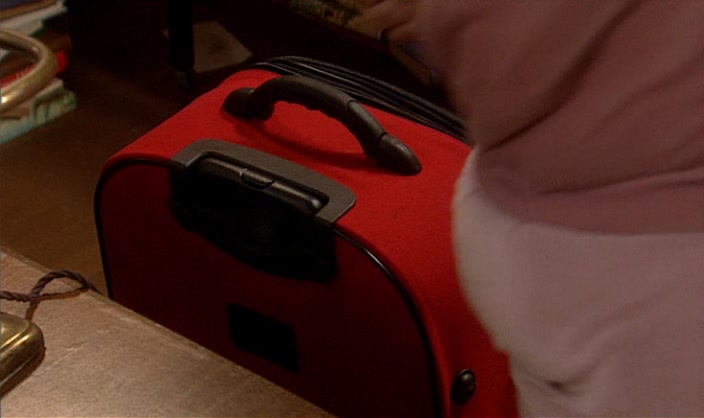 OH, FRAN, YOU FORGOT YOUR BAG!  