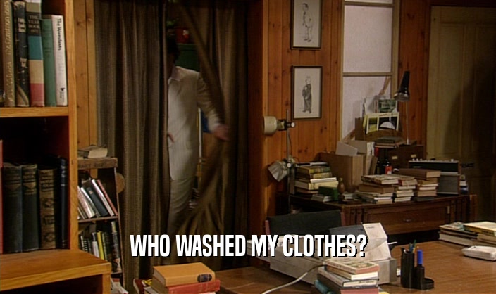 WHO WASHED MY CLOTHES?  
