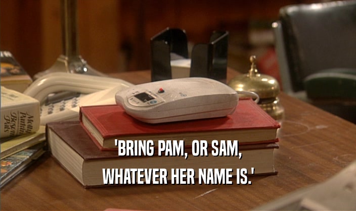 'BRING PAM, OR SAM, WHATEVER HER NAME IS.' 