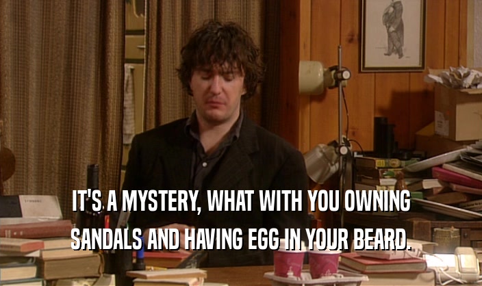 IT'S A MYSTERY, WHAT WITH YOU OWNING
 SANDALS AND HAVING EGG IN YOUR BEARD.
 
