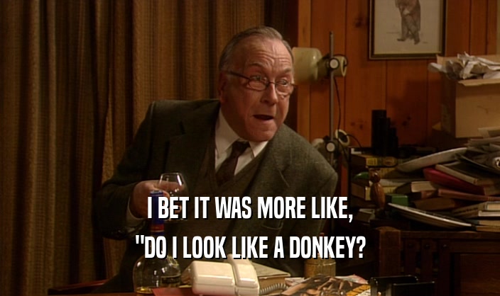 I BET IT WAS MORE LIKE, 