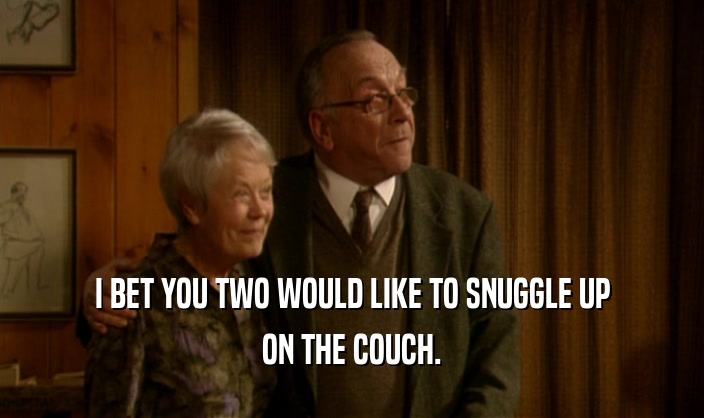 I BET YOU TWO WOULD LIKE TO SNUGGLE UP ON THE COUCH. 
