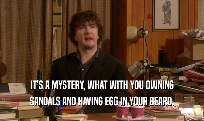 IT'S A MYSTERY, WHAT WITH YOU OWNING
 SANDALS AND HAVING EGG IN YOUR BEARD.
 