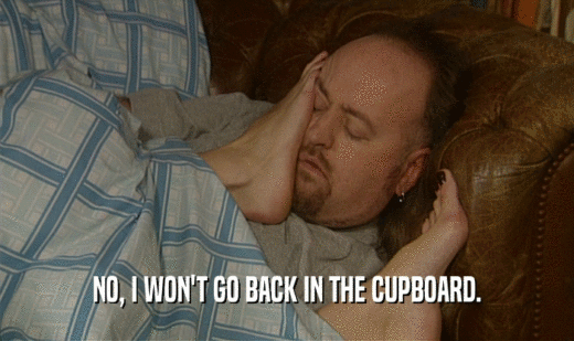 NO, I WON'T GO BACK IN THE CUPBOARD.  
