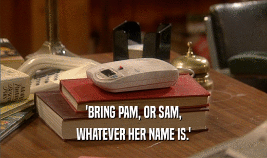'BRING PAM, OR SAM,
 WHATEVER HER NAME IS.'
 